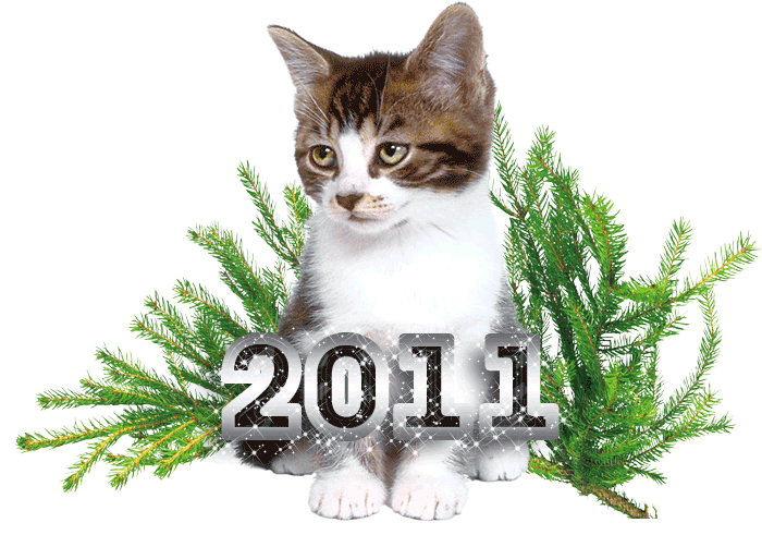 Родились в год кота. 2011 Год кота. Когда год кота. 2011 Может быть год кота. Цвет года кота.