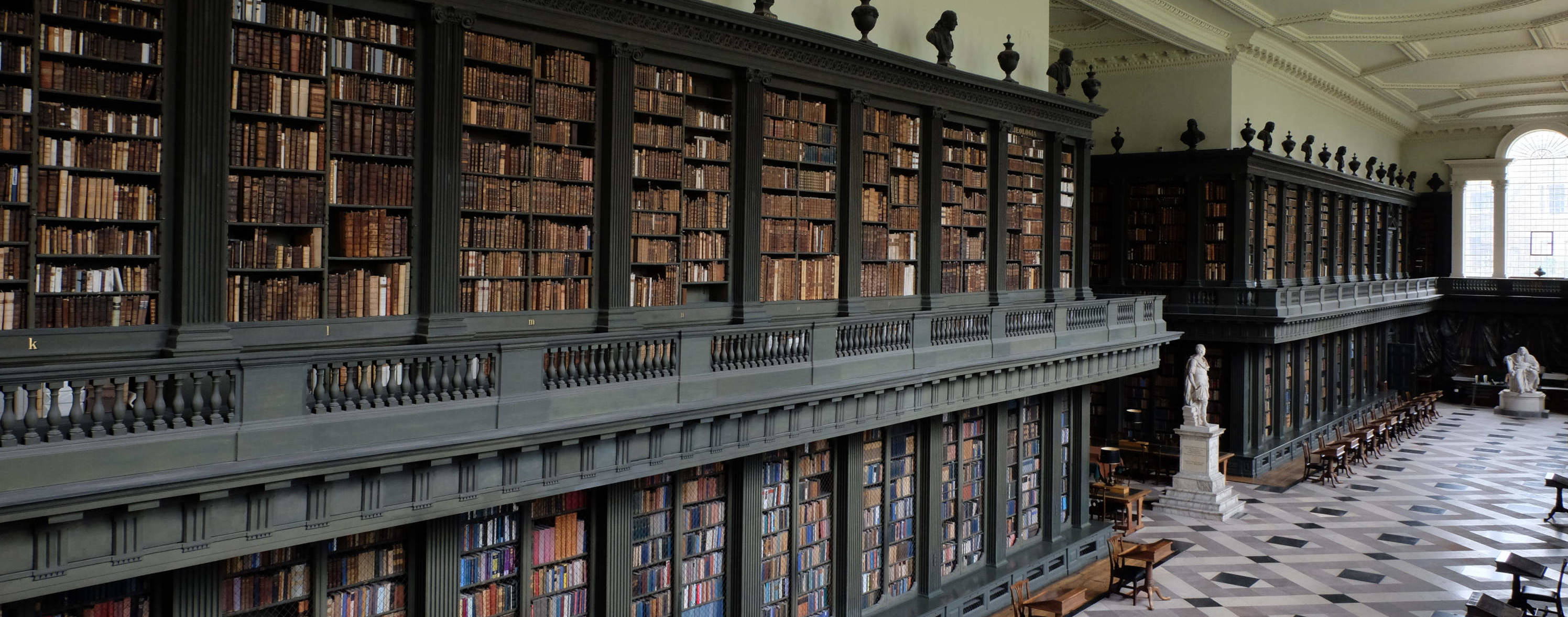 Библиотека эпохи возрождения. Стильная библиотека. Библиотека 15 века. Книжный фонд библиотеки. Полки с книгами в библиотеке.